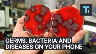 Germs bacteria and diseases living on your phone [upl. by Rellek]