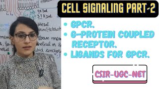 GProtein Coupled Receptor  GPCR Cell Signaling [upl. by Costello160]