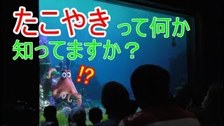 🔵たこ焼きって何か知ってますか？【タートルトーク】東京ディズニーシー [upl. by Heber151]