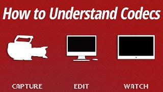 How to Understand Codecs [upl. by Marthe]