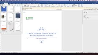 Redaction rapport ou Compte rendu de TP  WORD et EXCEL [upl. by Nhguavaj693]