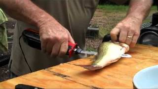 Filleting Fish with an Electric Knife [upl. by Ailene255]