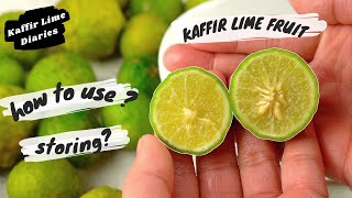 KAFFIR LIME FRUIT [upl. by Sieracki]