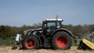 Fendt 930 S4 Black Beauty in Miscanthus  ETA LA LOUVIERE [upl. by Venola566]