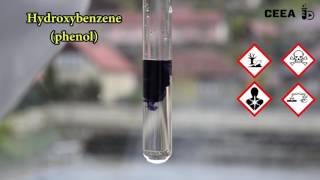 THE FERRIC CHLORIDE TEST FOR PHENOLS [upl. by Annadiana324]