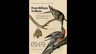 From Billions To None The Passenger Pigeons Flight to Extinction [upl. by Gertrude377]