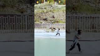 Eagle Attack Child but Parent Saves It [upl. by Peatroy126]