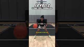 3 Ball Handling Drills For Up amp Coming Hoopers [upl. by Yezdnil696]