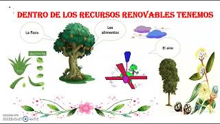 Recursos Renovables y Recursos no Renovables [upl. by Ducan]