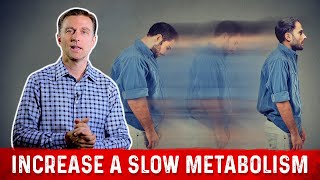 Slow Metabolism 4 Ways To Increase Your Metabolism – Dr Berg [upl. by Midge]