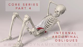 Core Series Part 4 Internal Abdominal Obliques Muscles 3D Animation [upl. by Safoelc]