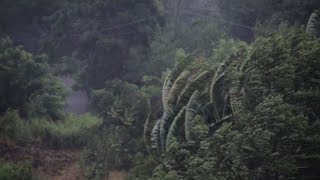 Tifón Mangkhut toca tierra en Filipinas [upl. by Nalliuq]