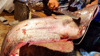 14 KG Giant Wallago Attu Catfish Cutting In Bangladesh Fish Market  Fish Cutting Skills [upl. by Parshall]