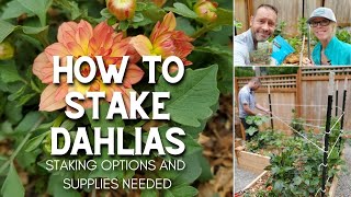 🌿 How to Stake Dahlias 🌿 [upl. by Aifoz503]