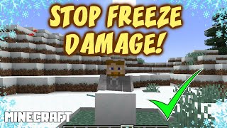 MINECRAFT  How to Stop Freeze Damage 1171 [upl. by Goddard]