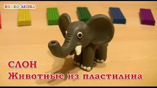 СЛОН  Лепим из пластилина  Видео Лепка [upl. by Larrisa]