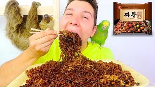 Jajangmyeon • 5 Packs Black Bean Noodles With My Sloth • MUKBANG [upl. by Ylro594]