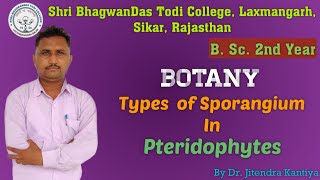 B Sc 2nd Year  Botany  Types of Sporangium  Dr Jitendra Kantiya  Shri BhagwanDas Todi College [upl. by Bartolomeo513]