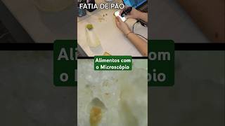 Vendo alimentos com Microscópio Digital microscópiodemão [upl. by Vinia]