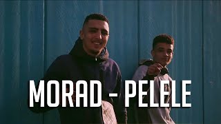 MORAD  PELELE LyricLetra  1 Hora [upl. by Nirra]