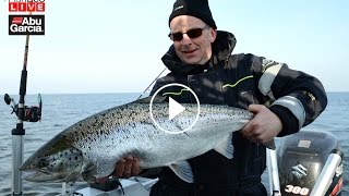 HD version Livefiske med Petter Larsson  Vi trollar lax på Vänern [upl. by Robison]