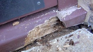 Repairing a rotting door step [upl. by Nanji]