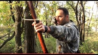 Squirrel Hunting with a Primitive Bow 2 Redemption HD [upl. by Beebe757]