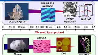 Webinar Introduction to Piezoresponse Force Microscopy PFM [upl. by Rivera]