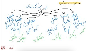 Arabic grammar  lec44 root letters ki ahmiyat [upl. by Atinram]