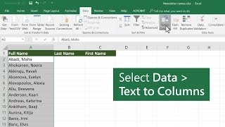 Split data into different columns in Microsoft Excel [upl. by Delly]