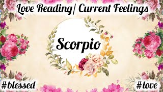 🦋 Scorpio ✨ Person On Your Mind 🌸 CURRENT FEELINGS OF YOUR PARTNER 💍❣️ tarot trending scorpio [upl. by Rbma]