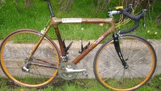 Bamboo Bicycle Longterm Review [upl. by Burchett]