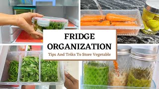 Ultimate FRIDGE ORGANIZATION  Indian small Fridge Organization  tips to store Vegetable longer [upl. by Prader]