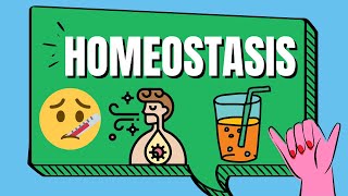 Homeostasis Examples [upl. by Farland]