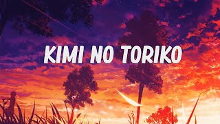 cinnamons × evening cinema  Kimi No Toriko Summertime Lyrics 🎶 [upl. by Bonnes]