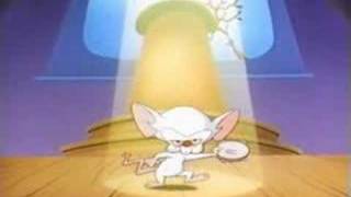 pinky and the brainbrainstem [upl. by Ricki]