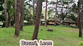 Iloilo  Bucari Pine Forest Leon [upl. by Ahtilat]