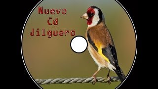 Nuevo Cd Jilguero Educación Noveles  2014 [upl. by Assilla]