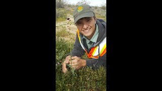 Mitchell Coleman quotConservation on Tejon Ranch and ecophysiology of halophytesquot [upl. by Messab]