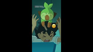 Grookey’s BEST Stick Hits 🌱 Pokémon Journeys is now streaming on Netflix [upl. by Velasco400]