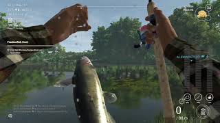 Channel Catfish  Lone Star Lake  How to Catch  Fishing Planet  Beginners Guide [upl. by Pachton615]