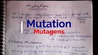 What is Mutations and mutagens Types and Detailed Explanation in Hindi neetncert easy to underst [upl. by Yelrak]