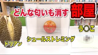 【ホコタテ】どんな臭いも消す部屋VS世界一臭い物質  米村でんじろう公式science experiments [upl. by Payne]