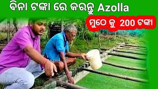 ଛୋଟ ଛୋଟ ଦାନା କୁ 200 ଟଙ୍କା  how to make azolla at home   Azolla farming in odisha [upl. by Gary]