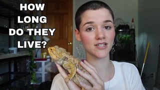 How Long do Bearded Dragons Live  Average Lifespan [upl. by Kendall]