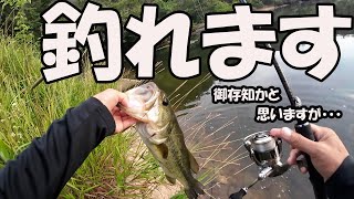 【バス釣り】釣れる一軍ワームの使い方＆サイトと動かし方【岡山野池】 [upl. by Novyat]