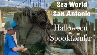 Halloween Spooktacular at Sea World San Antonio [upl. by Arec959]