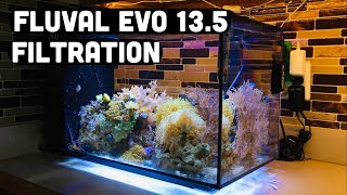 Fluval Evo 135 filtration UV sterilizer and 40 breeder project [upl. by Dnalram]