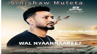 Sinishaw Muleta New Oromic music reaction 2024sinishaworomic new video [upl. by Drawyah590]