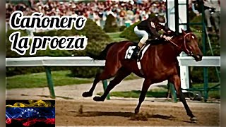 Cañonero la Hazaña del mejor Caballo de carreras de Venezuela 🏇🏇 [upl. by Brennen875]